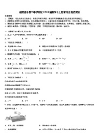 福建省永春三中学片区2026届数学七上期末综合测试试题含解析