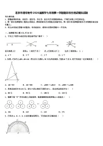 北京市清华附中2026届数学七年级第一学期期末综合测试模拟试题含解析