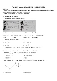 广东省恩平市2026届七年级数学第一学期期末预测试题含解析