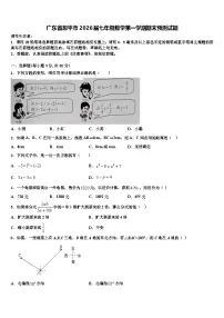 广东省恩平市2026届七年级数学第一学期期末预测试题含解析