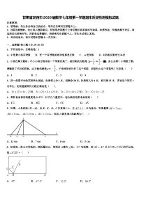 甘肃省定西市2026届数学七年级第一学期期末质量检测模拟试题含解析