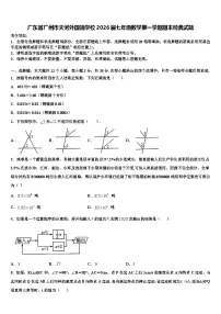广东省广州市天河外国语学校2026届七年级数学第一学期期末经典试题含解析