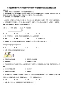 广东省揭阳普宁市2026届数学七年级第一学期期末学业质量监测模拟试题含解析
