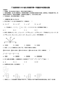 广东省珠海市2026届七年级数学第一学期期末考试模拟试题含解析