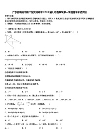 广东省梅州市梅江区实验中学2026届七年级数学第一学期期末考试试题含解析