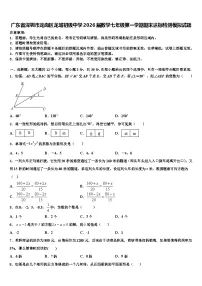广东省深圳市龙岗区龙城初级中学2026届数学七年级第一学期期末达标检测模拟试题含解析