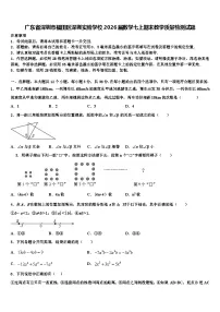 广东省深圳市福田区深圳实验学校2026届数学七上期末教学质量检测试题含解析