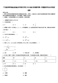 广东省深圳市南山区南山中学英文学校2026届七年级数学第一学期期末学业水平测试试题含解析