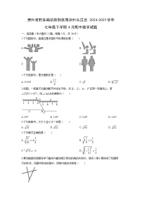贵州省黔东南苗族侗族自治州从江县2024-2025学年七年级下学期4月期中数学试题（学生版）
