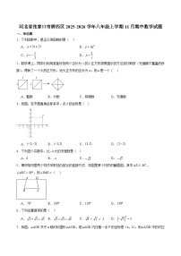 河北省张家口市桥西区2025-2026学年八年级上学期11月期中考试 数学试卷