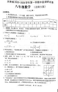 河南省郑州市新郑市2025-2026学年八年级上学期11月期中 数学试题（PDF版）