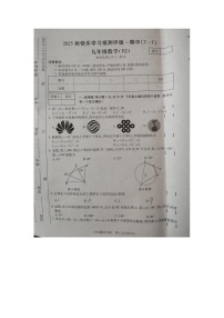 河南省商丘市睢县多乡镇联考2025-2026学年九年级上学期11月期中 数学试题（图片版）