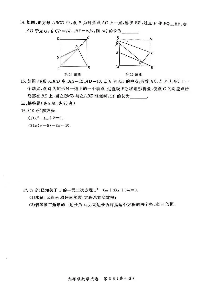 河南省郑州市九校联考2025-2026学年九年级上学期期中考试 数学试卷(PDF版)第3页