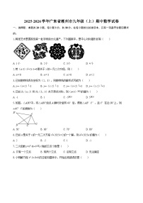 2025-2026学年广东省潮州市九年级（上）期中数学试卷-自定义类型