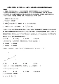 贵州省贵州铜仁伟才学校2026届七年级数学第一学期期末联考模拟试题含解析