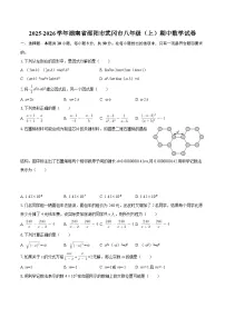 2025-2026学年湖南省邵阳市武冈市八年级（上）期中数学试卷-自定义类型