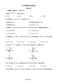2023年扬州梅苑九年级上学期12月月考数学试题及答案