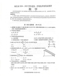四川省内江市2024—2025学年九年级上学期期末考试数学试题 -