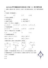 2025-2026学年福建省泉州市惠安县八年级（上）期中数学试卷