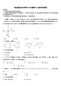 河北省唐山市乐亭县2026届数学七上期末检测试题含解析