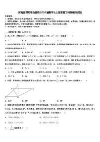河南省濮阳市台前县2026届数学七上期末复习检测模拟试题含解析