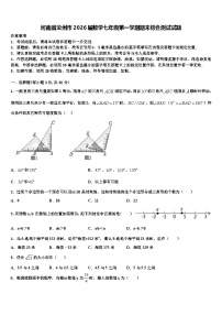 河南省汝州市2026届数学七年级第一学期期末综合测试试题含解析