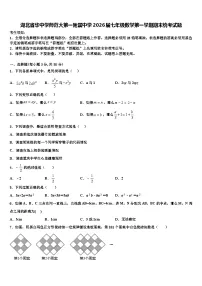湖北省华中学师范大第一附属中学2026届七年级数学第一学期期末统考试题含解析
