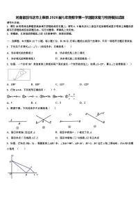 河南省驻马店市上蔡县2026届七年级数学第一学期期末复习检测模拟试题含解析
