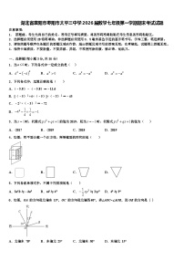湖北省襄阳市枣阳市太平三中学2026届数学七年级第一学期期末考试试题含解析