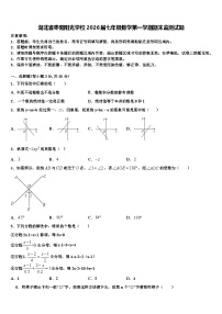 湖北省枣阳阳光学校2026届七年级数学第一学期期末监测试题含解析