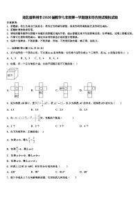湖北省荆州市2026届数学七年级第一学期期末综合测试模拟试题含解析