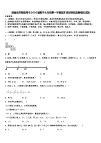 湖南省岳阳临湘市2026届数学七年级第一学期期末质量跟踪监视模拟试题含解析