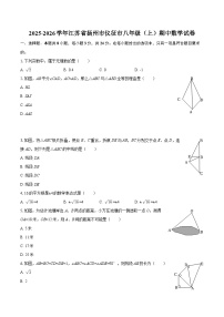 2025-2026学年江苏省扬州市仪征市八年级（上）期中数学试卷-自定义类型
