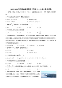 2025-2026学年湖南省邵阳市八年级（上）期中数学试卷-自定义类型