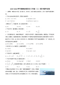 2025-2026学年湖南省邵阳市八年级(上)期中数学试卷-自定义类型