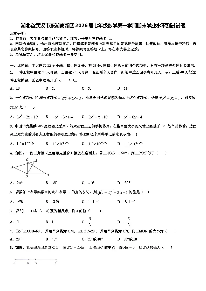 湖北省武汉市东湖高新区2026届七年级数学第一学期期末学业水平测试试题含解析第1页