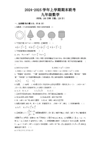 河南省平顶山市鲁山县第六教研区2024-2025学年上学期期末联考九年级数学试卷 含答案