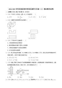 河南省郑州市郑东新区2024-2025学年数学九年级上学期数学期末试卷 含答案