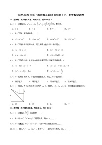 2025-2026学年上海市浦东新区七年级（上）期中数学试卷（含解析）