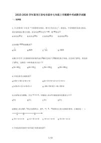 2025-2026学年黑龙江省哈尔滨市七年级上学期期中考试数学试题（含解析）