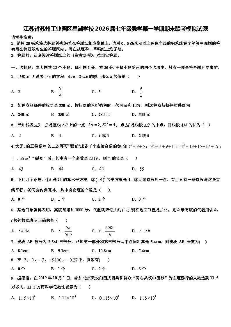 江苏省苏州工业园区星湖学校2026届七年级数学第一学期期末联考模拟试题含解析第1页
