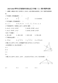 2025-2026学年江苏省徐州市泉山区八年级（上）期中数学试卷-自定义类型