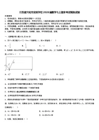 江苏省兴化市实验学校2026届数学七上期末考试模拟试题含解析