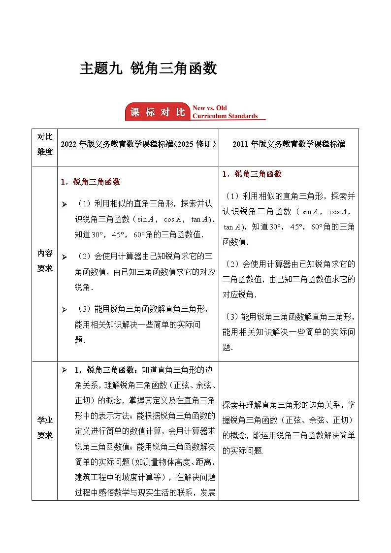 主题九 锐角三角函数 2026年中考数学专题复习考点解读教案第1页