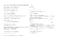 2024—2025学年度人教版七年级下期末考试数学试题