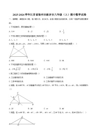 2025-2026学年江苏省徐州市新沂市八年级（上）期中数学试卷-自定义类型