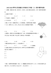 2025-2026学年江苏省镇江市句容市八年级（上）期中数学试卷-自定义类型