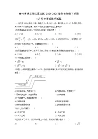 贵州省遵义市红花岗区2024-2025学年七年级下学期4月期中考试数学试卷（学生版）