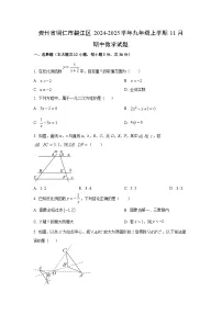 贵州省铜仁市碧江区2024-2025学年九年级上学期11月期中数学试卷（学生版）