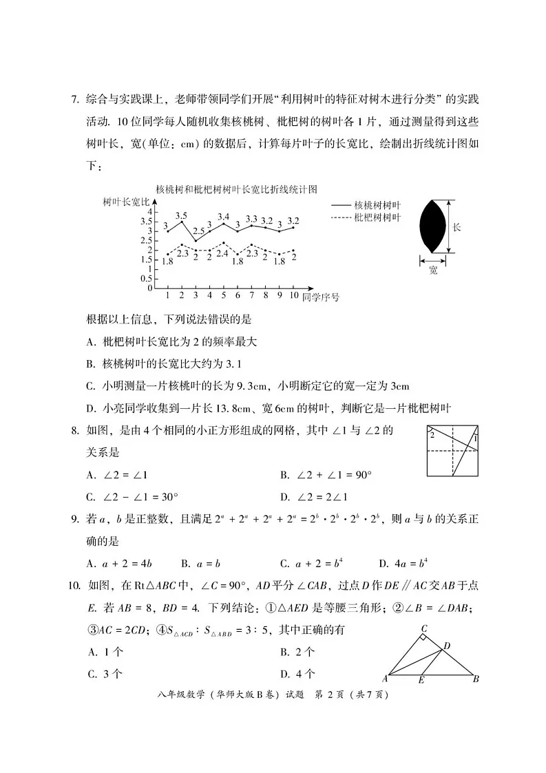 福建省漳州市2024—-2025学年八年级上学期期末教学质量检测数学试题(华东师大版B卷)第2页
